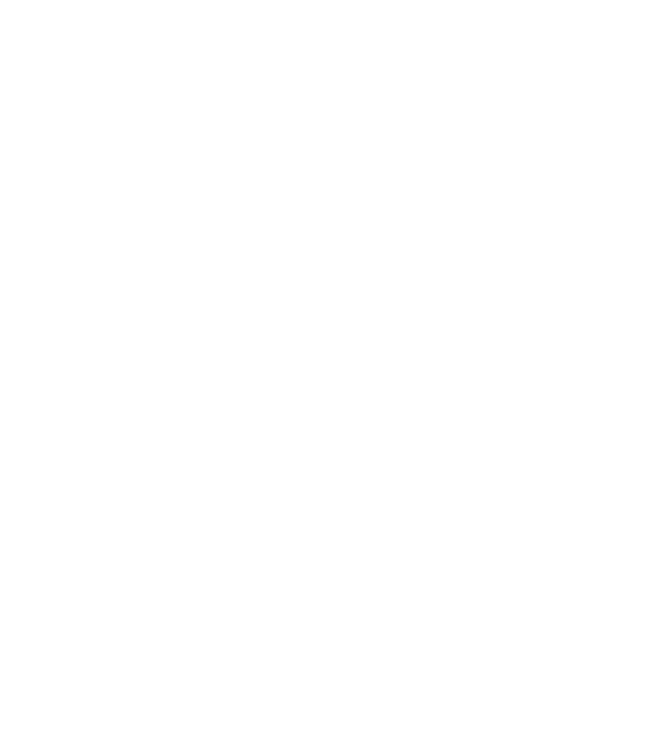 Aylol Telecom Logo